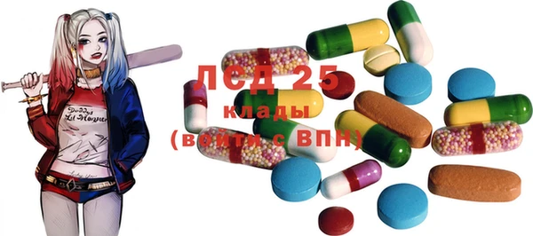 PSILOCYBIN Надым