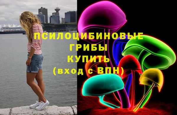 PSILOCYBIN Надым