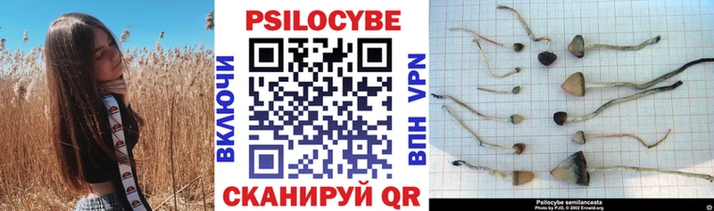 Галлюциногенные грибы прущие грибы  Купить  Чита 